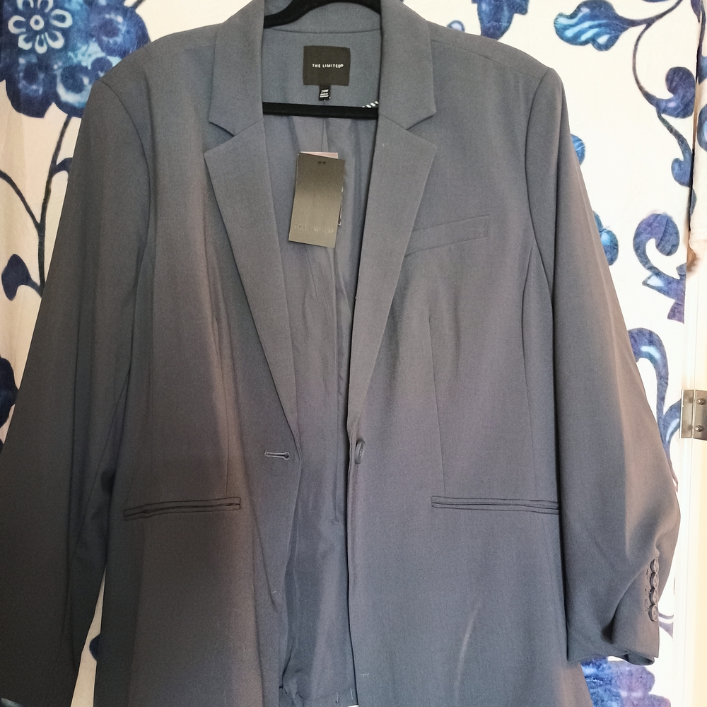 The Limited Women’s Gray Blazer
